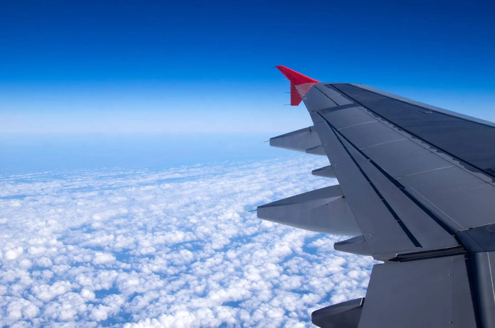 Travel